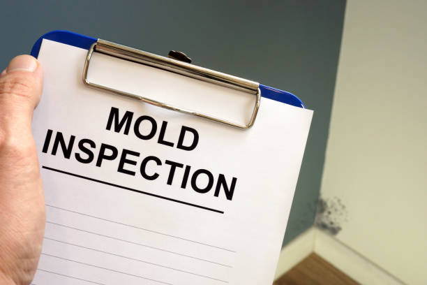 Best Comprehensive Air Testing for Mold Contaminants  in Hilmar Irwin, CA